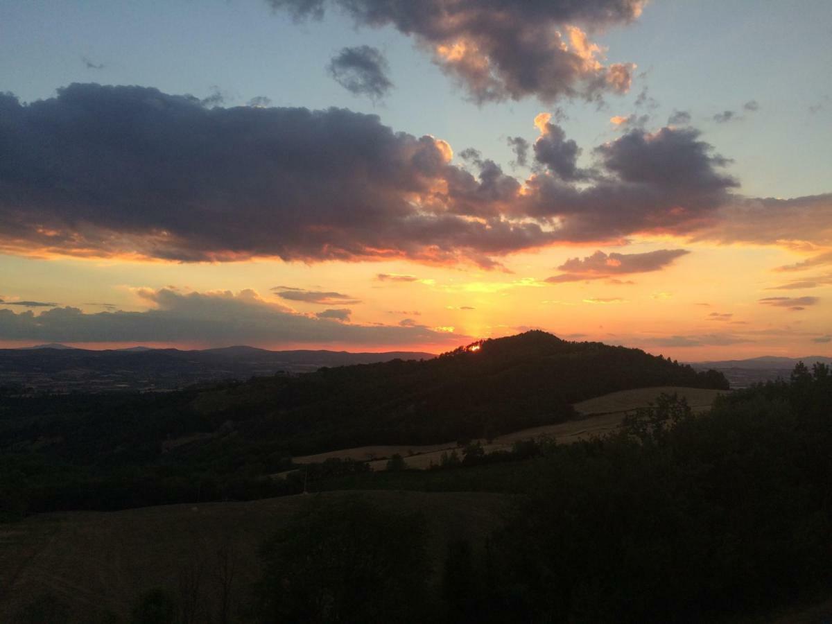 Appartement Umbria, "Casa Sagrantina" Con Piscina E Pergolato à Collazzone Extérieur photo