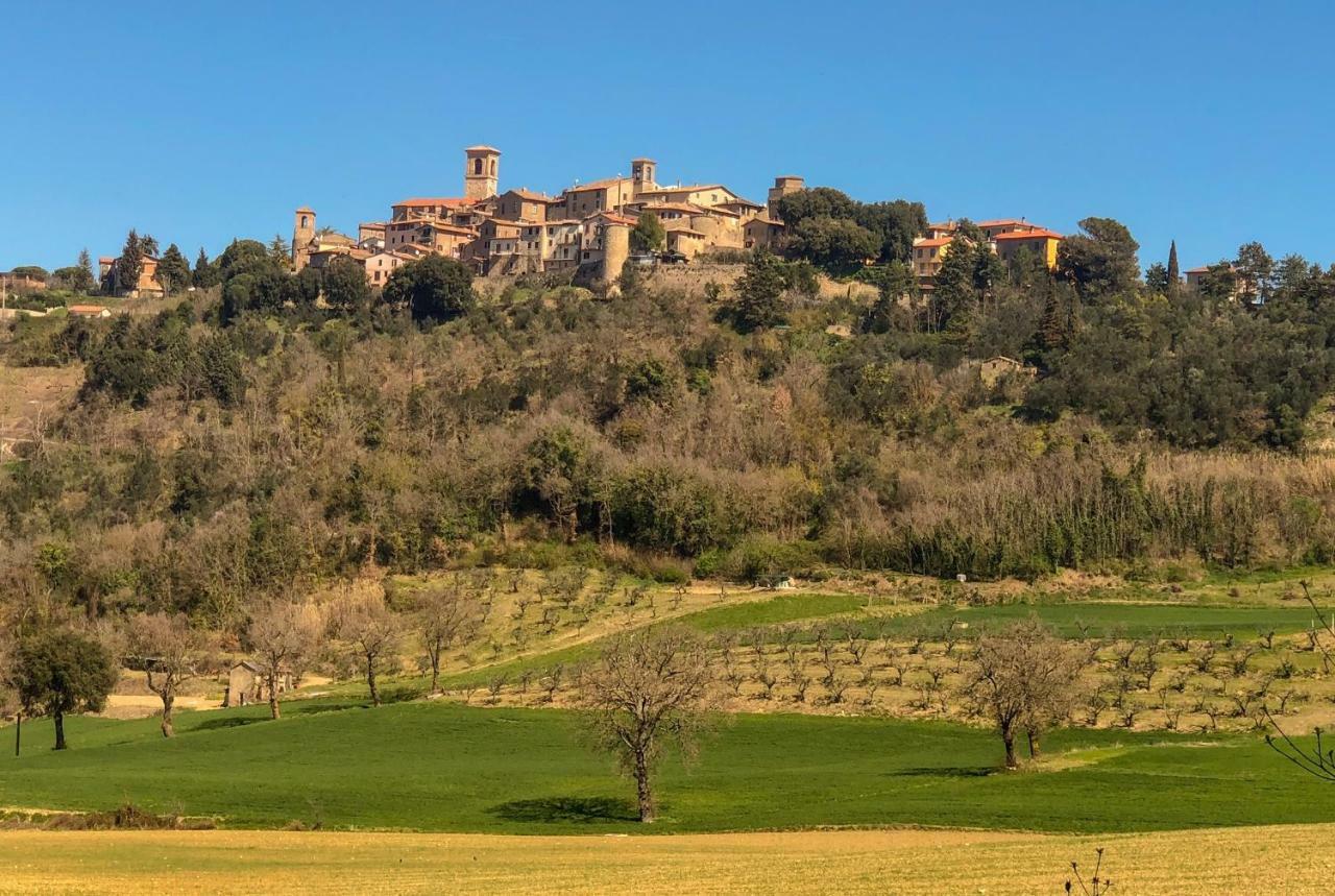 Appartement Umbria, "Casa Sagrantina" Con Piscina E Pergolato à Collazzone Extérieur photo